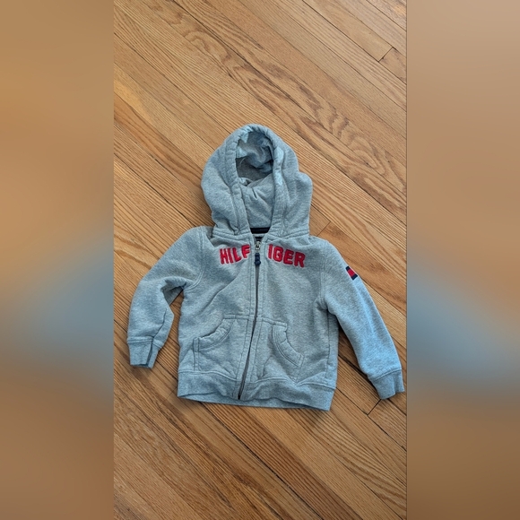 Adidas Blue Shorts and Hilfiger Gray Hoodie Set - Picture 3 of 7